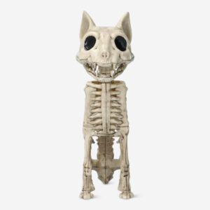 Skeleton cat - Image 3