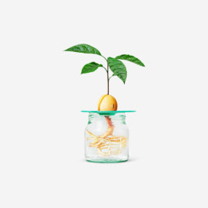 Avocado grower - Image 1