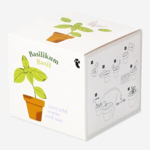 Basil grow kit - Image 2