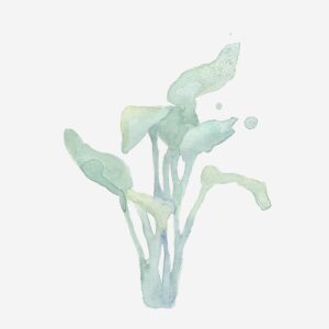 Botancial water colouring book - Image 3