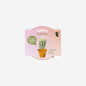 Cactus grow kit - Image 1
