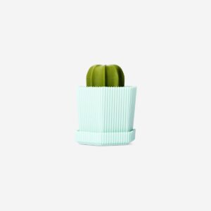 Cactus washing up brush - Image 1