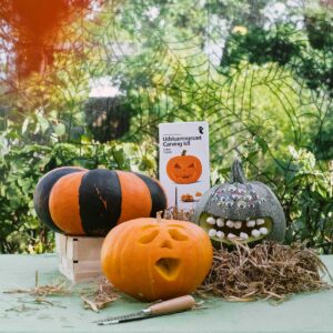Carving kit - Image 3