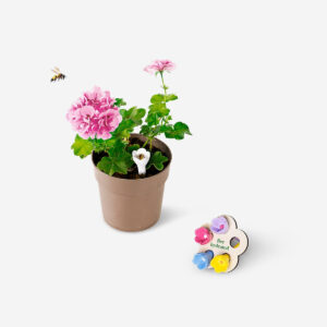 Bee cups - 5 pcs - Image 3