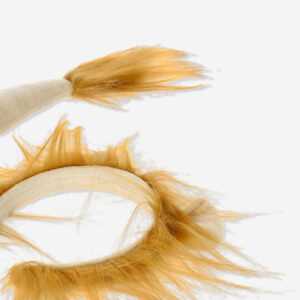 Costume lion accessories. For kids - Image 2