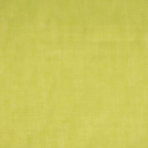 Cotton Muslin Fabric - Green