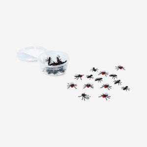 Creepy crawlies in a box - Image 1