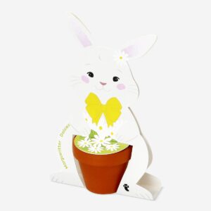 Daisy growing kit - Image 2