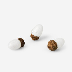 Decoration. Acorns - Image 2