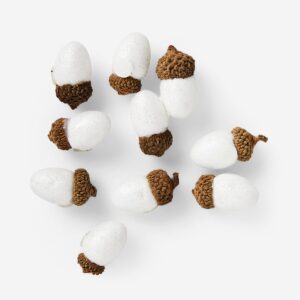 Decoration. Acorns - Image 1