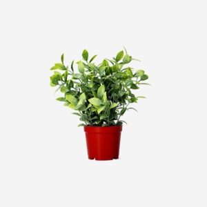 Decorative artificial plant - Image 1