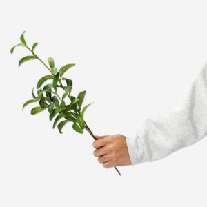 Decorative branch - Image 2