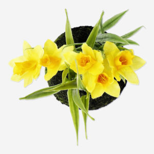 Decorative daffodil flower - Image 3