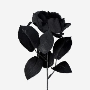 Decorative flower - Black rose - Image 3