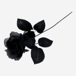 Decorative flower - Black rose - Image 1