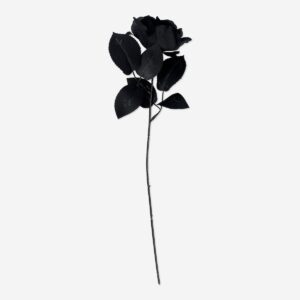 Decorative flower - Black rose - Image 2