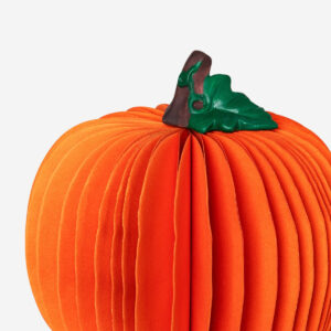 Decorative fold out pumpkin - 12 cm - Image 3