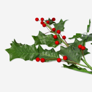 Decorative holly - Image 2