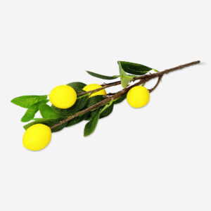 Decorative lemons - Image 2