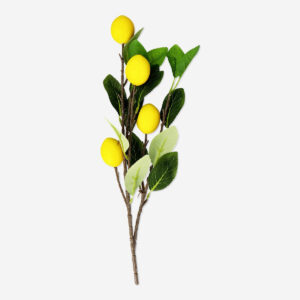 Decorative lemons - Image 1