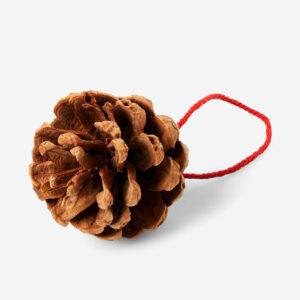Decorative pines - Image 2