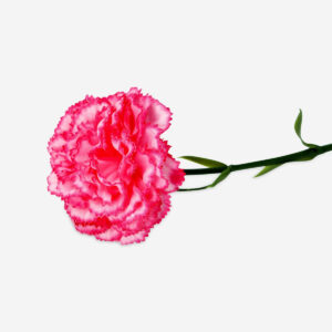 Decorative pink flower - Image 2