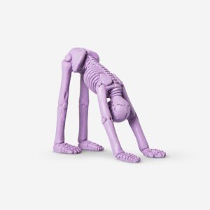 Decorative Purple Skeleton - Image 1