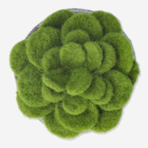 Decorative plant. 10 cm - Image 3
