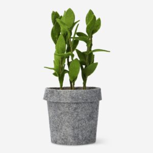 Decorative plant. 22.5 cm - Image 1