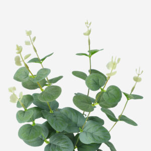 Decorative plant - Image 3