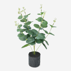 Decorative plant - Image 2