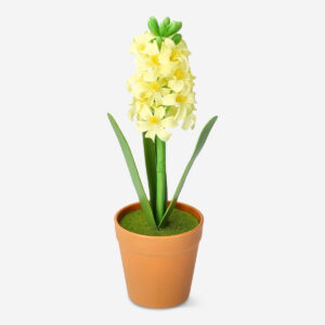 Decorative plant - Image 2