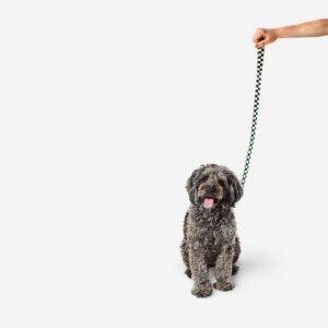 Dog lead. 116 cm - Image 1