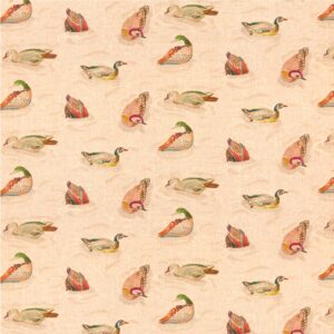 DUCK POND / JEWEL