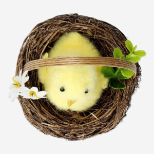 Easter chick in nest - Image 3