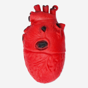 Fake heart - Image 1