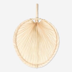 Fan - Image 3