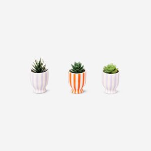 Faux succulents in pots - 3 pcs - Image 2