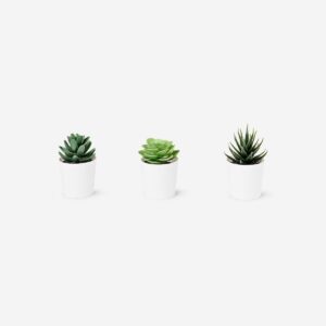Faux succulents in pots - 3 pcs - Image 3