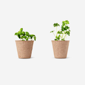 Fibre pots. Biodegradable - Image 2