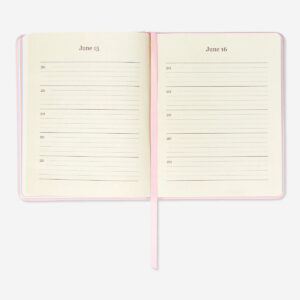 Five-year diary - Image 2