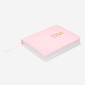 Five-year diary - Image 3