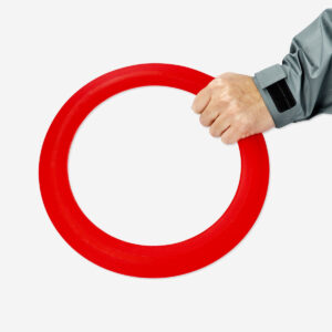 Flying ring - Image 2