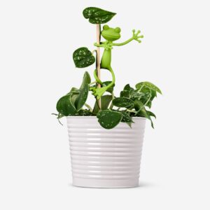 Frog shaped plant supports - 2 pcs - Image 2