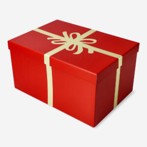Gift box with ribbon design - Large - Image 1