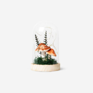 Glowing dome decoration - Image 1