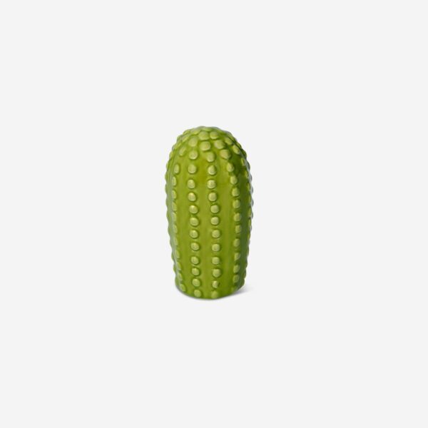 green-decorative-cactus-10-cm-home-flying-tiger-copenhagen-753821.jpg