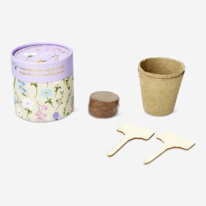 Grow kit - Wildflowers and Lavender - Image 1