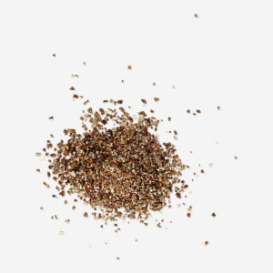 Grow your own red clover - Image 3