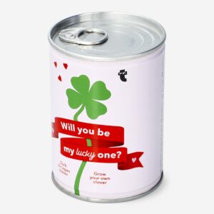 Grow your own red clover - Image 2